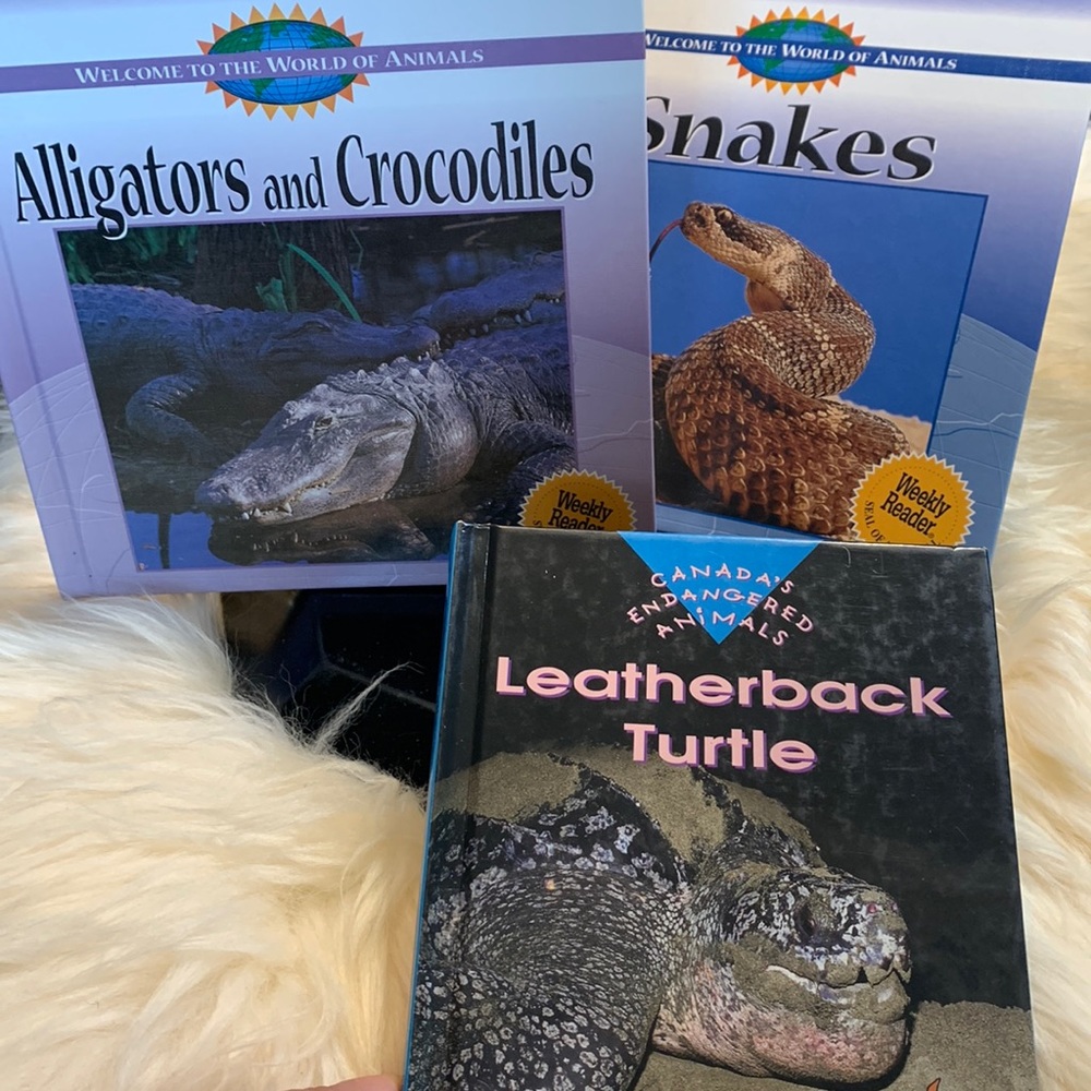 ⭐️2/$12⭐️Reptile books in colour